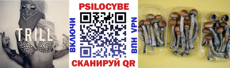купить сайты Малмыж Псилоцибиновые грибы GOLDEN TEACHER